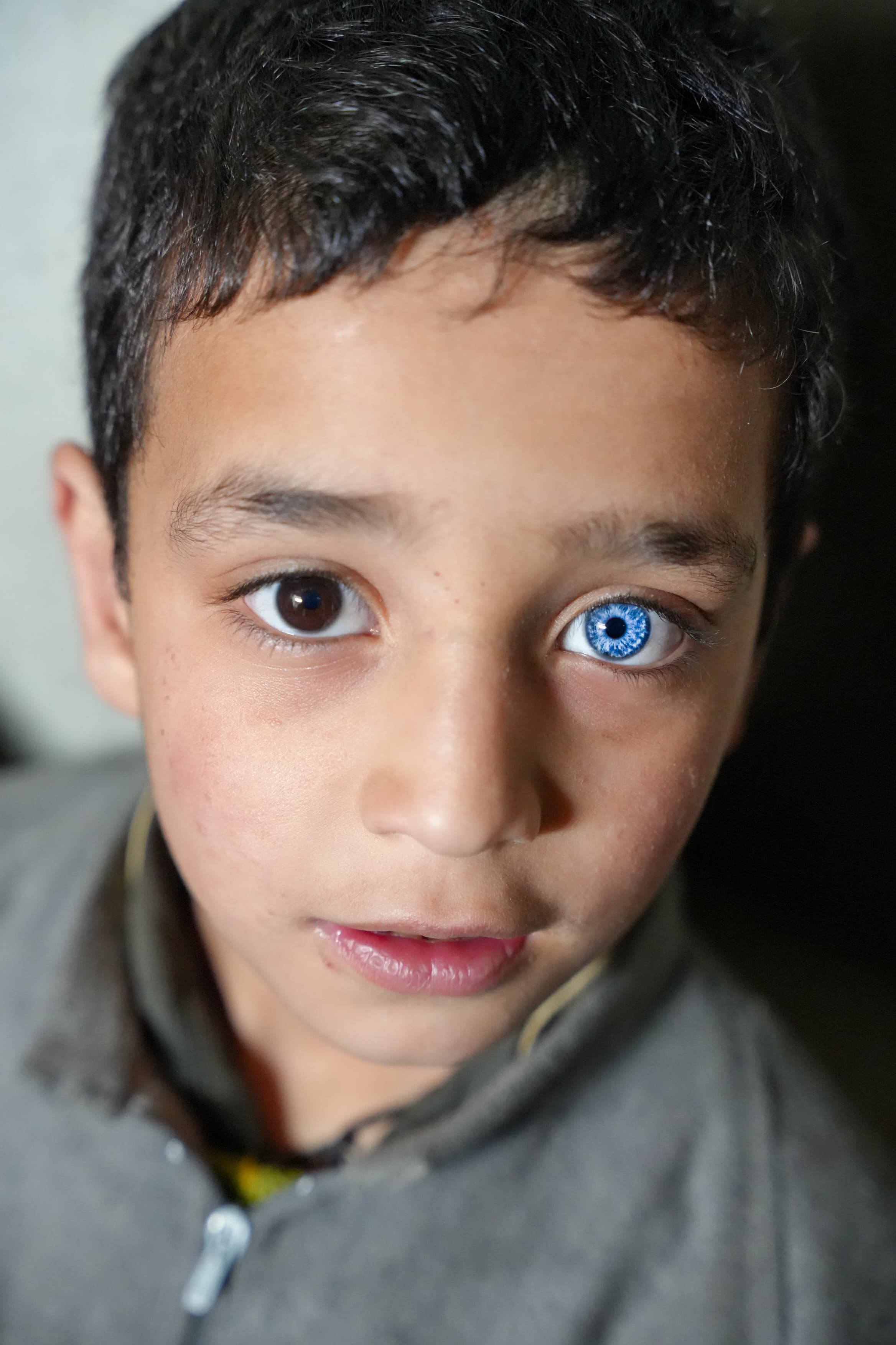 Bear Attacks in Mawer